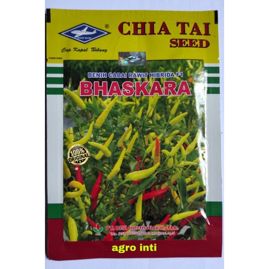 Benih bibit cabe rawit hibrida BHASKARA F1 10gr dari kapal terbang