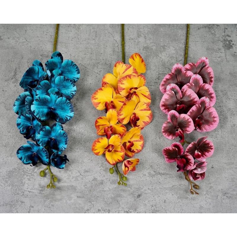 Anggrek Latex Jumbo/Anggrek Hias/Bunga Anggrek/Bunga Hias