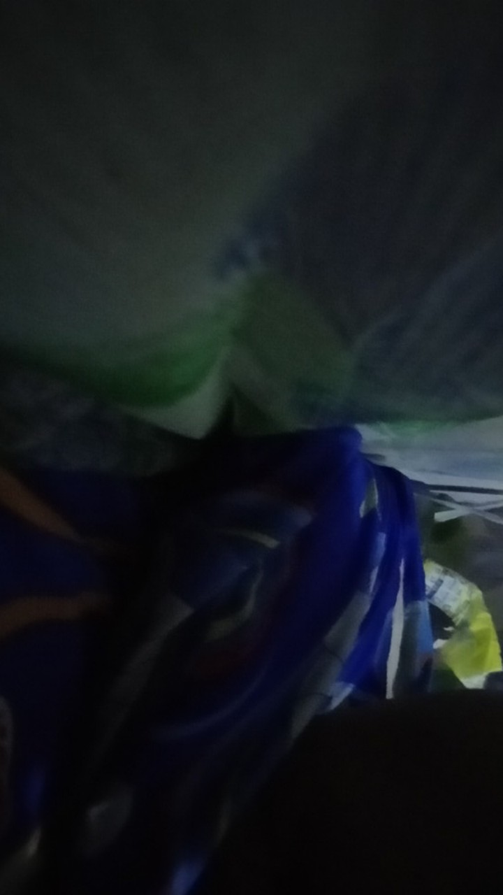 Terlaris Kemeja Cowok 2020 Kemeja Distro Pria Surfing Lengan Pendek