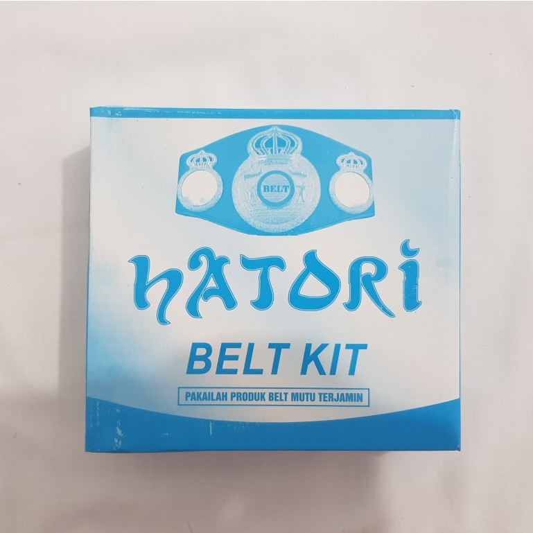 Kit Power Amplifier Hatori Belt Kit 150 Watt Galaxy IC DC 12 Volt