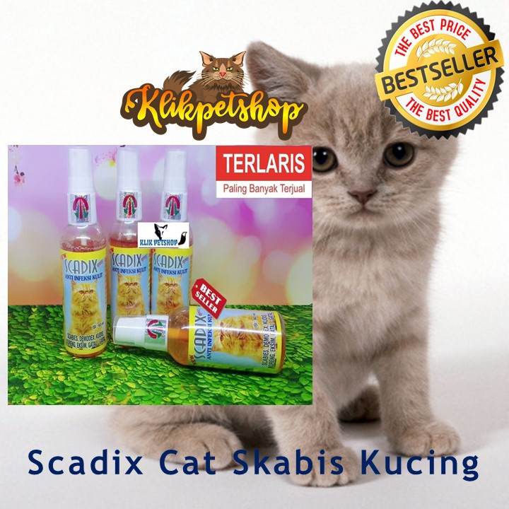 SCADIX CAT ANTI INFEKSI KULIT SKABIES KUDIS EKSIM KORENG KUCING