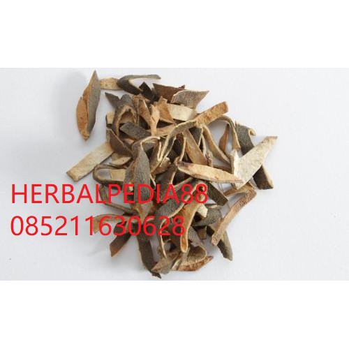 

Qing Pi Citrus reticulata Blanco 100 gram