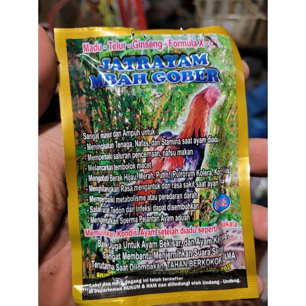 jamu ayam mbah gober