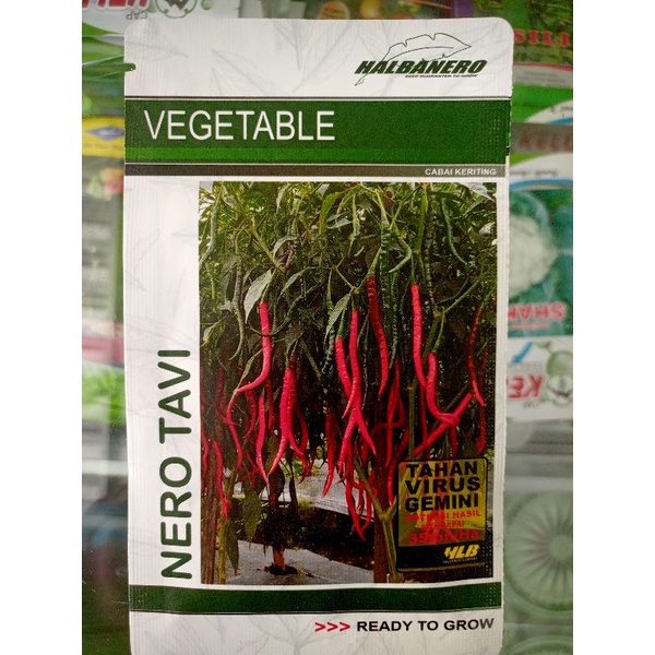 BENIH CABAI NERO TAVI