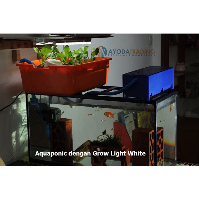 Reptil-Uvb-Uva-Lampu- Led Grow Light Lampu Tanaman Aquaponic Hydroponic White -Lampu-Uva-Uvb-Reptil.