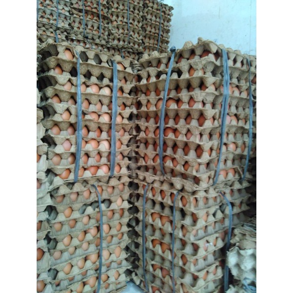

telor negri omega 15 kg