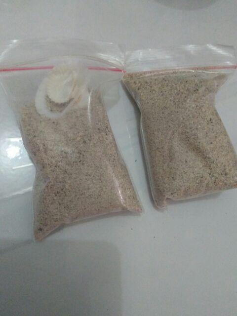 Marimo Moss Ball In Kotak 150 Ml < 3 Alga Jepang