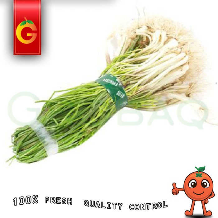 

SAYUR LOKIO FRESH PER-IKAT