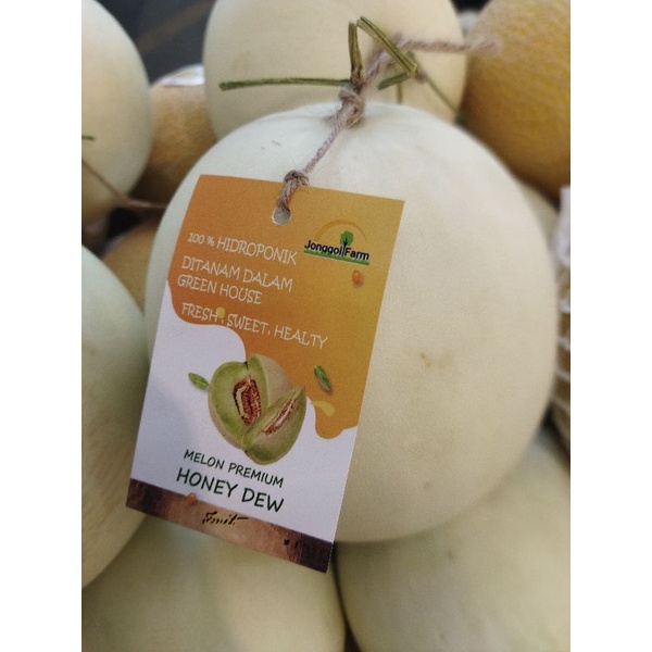 

Melon honey dew hidroponik premium manis | pcs