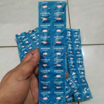 Coccilin / Kapsul Obat Ayam & unggas anti ngorok berak putih dan lain2
