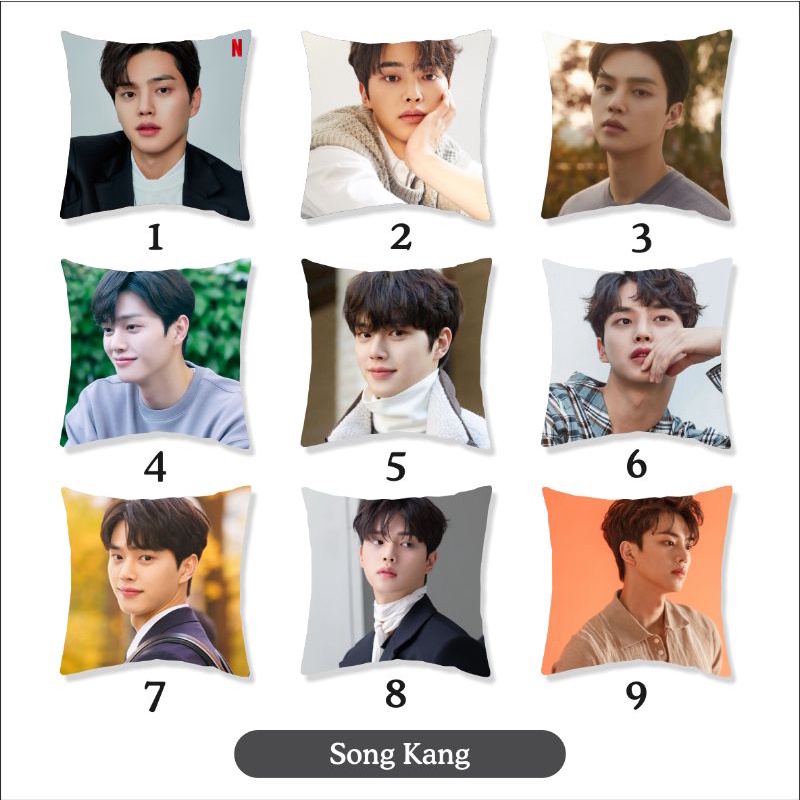 Bantal Aktor korea Hwang in yeop , Cha eunwoo , kim soo hyun , song kang