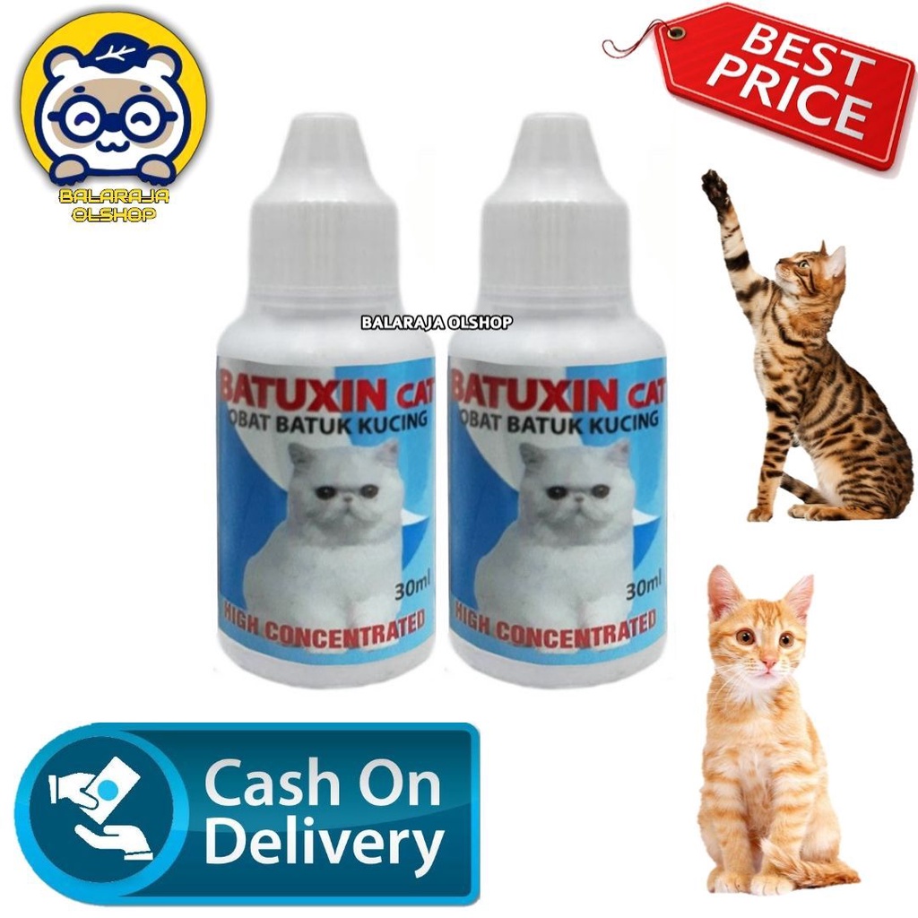 Obat Batuk Kucing Sakit Flu Pilek Batuxin Cat