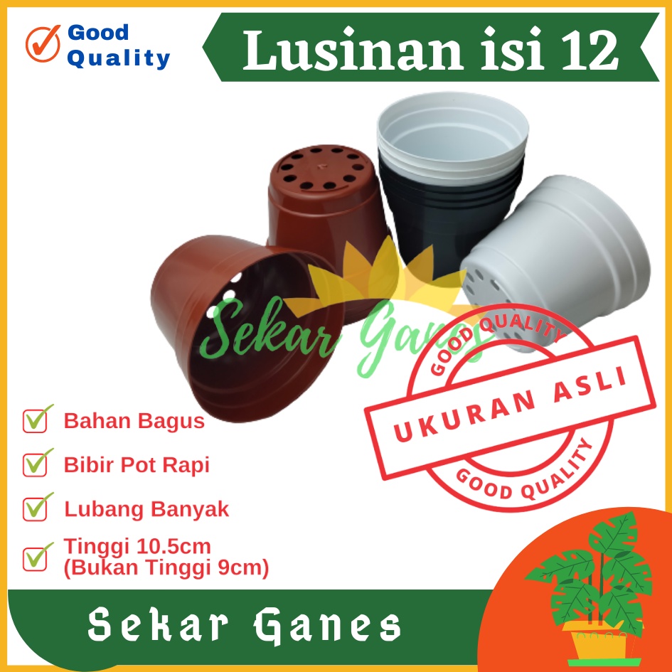 LUSINAN 12PCS Pot 12 Cm Putih Hitam Merah Bata Merah Coklat Terracota Terracotta - Pot 12 Hitam Kecil Mini Minimalis Plastik Kaktus Sukulen Mini Murah Pot Bibit Pembibitan