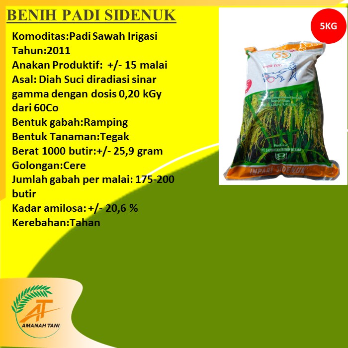 BENIH PADI INPARI SIDENUK
