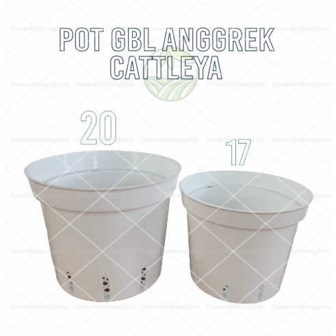 POT GBL ANGGREK CATTLEYA PUTIH | POT ANGGREK | POT BUNGA HIAS | POT TANAMAN HIAS | POT GBL