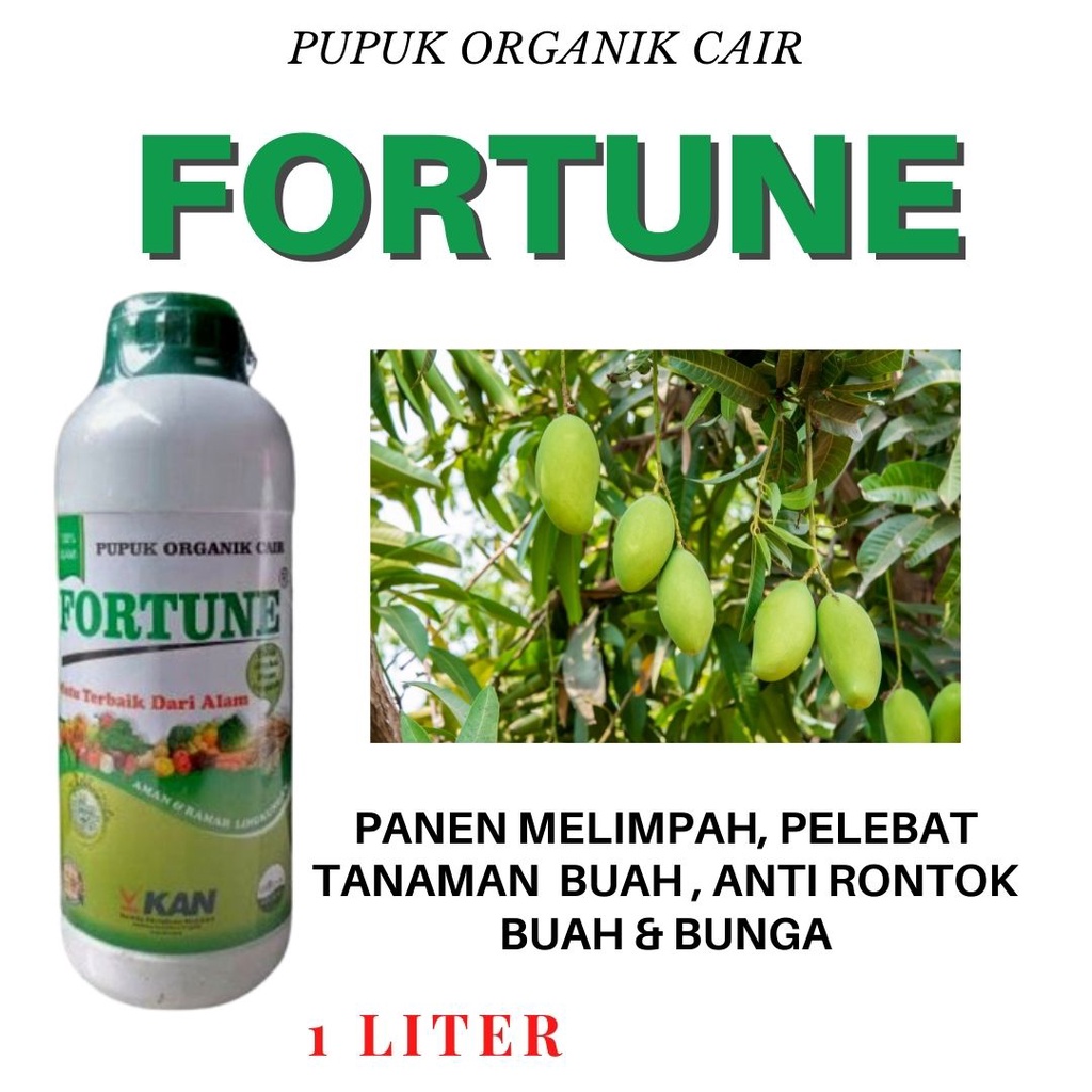 Pupuk Booster Buah Mangga Organik, Pupuk Mangga Supaya Berbuah Lebat