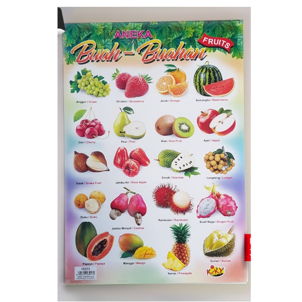 

Poster Aneka Buah-buah an