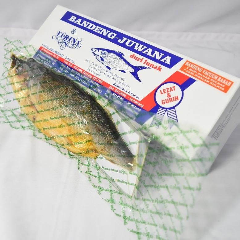 

BJ Elrina Bandeng Vacuum BASAH 0.5kg (tahan 5 hari) merek Bandeng Juwana Elrina °☊ 62||