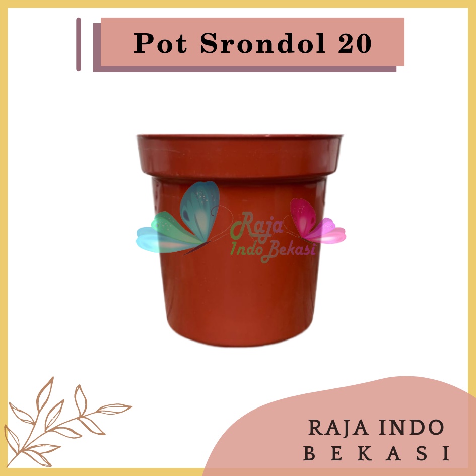 Pot Tinggi Srondol 20 Merah BataTerracota Terracotta Merah Coklat - Pot Tinggi Usa Eiffel Effiel 18 20 25 Lusinan Pot Tinggi Tirus 15 18 20 30 35 40 50 Cm Paket murah isi 1 lusin pot bunga plastik lusinan pot tanaman Pot Bibit Besar Mini Kecil Pot Srondol