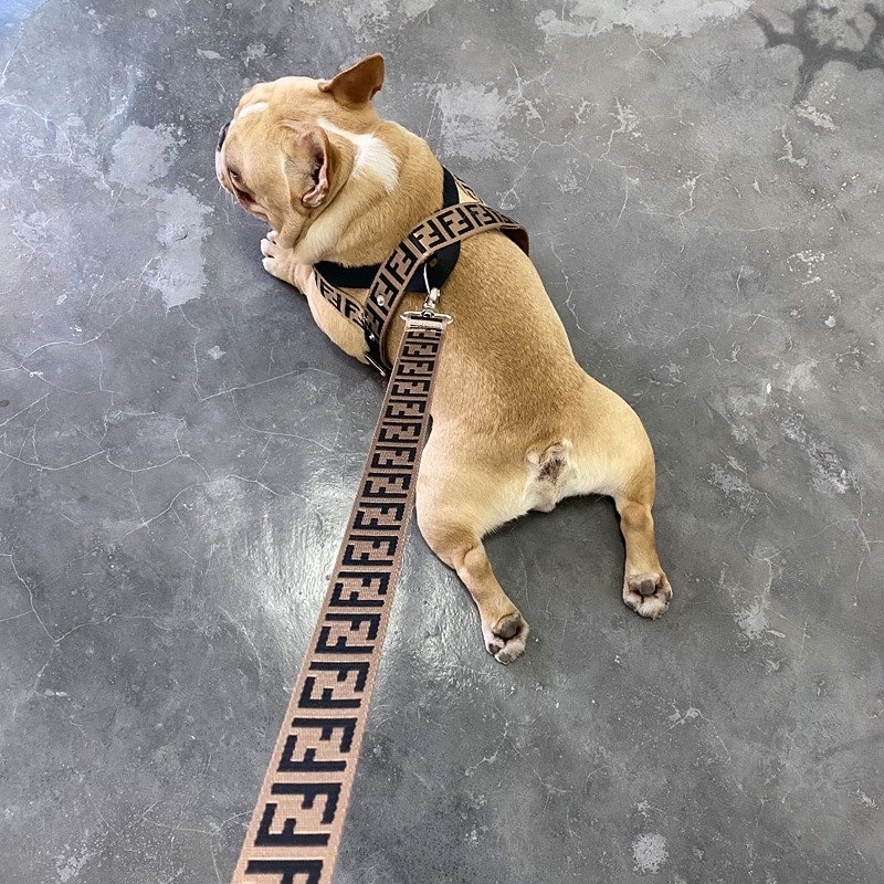 Fendogie premium harness