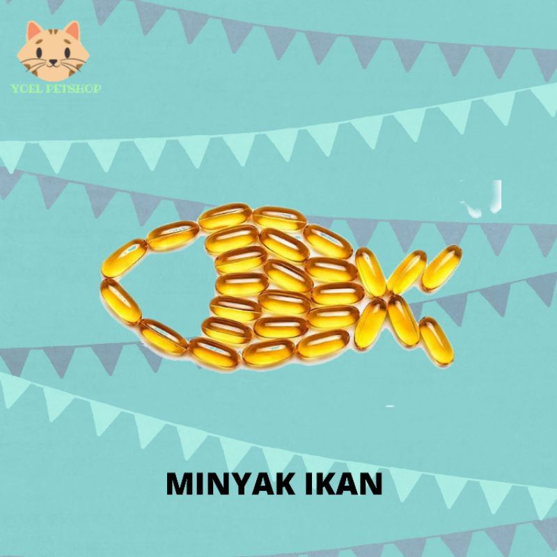 MINYAK IKAN KUCING