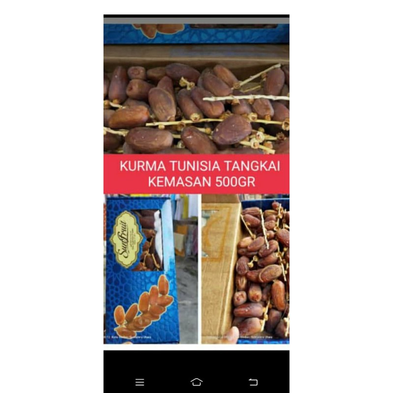 

kurma tunisia