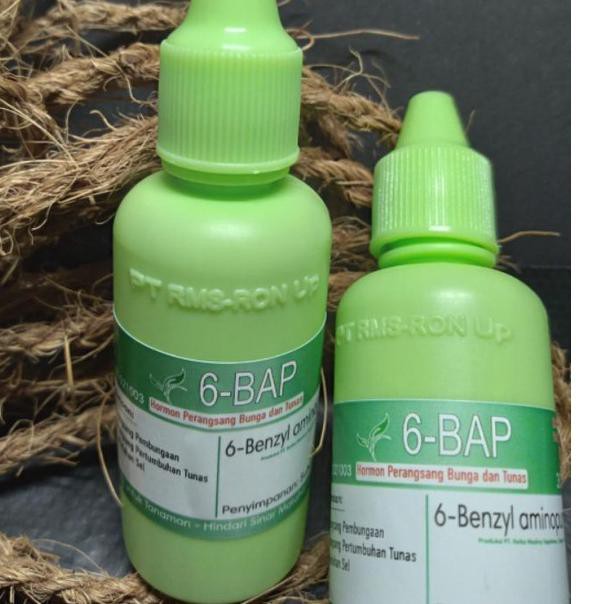 ✼ 6 BAP Benzylaminopurine Perangsang Bunga Anggrek, dan Penumbuh Tunas ➹