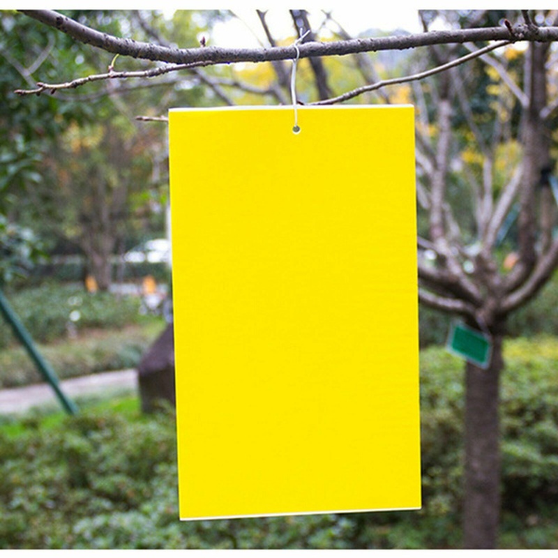 10pcs Dual-Sided Yellow Sticky Traps for Flying Plant Insect Such as Fungus Gnats, Whiteflies, Aphids, Leafminers,Thrips