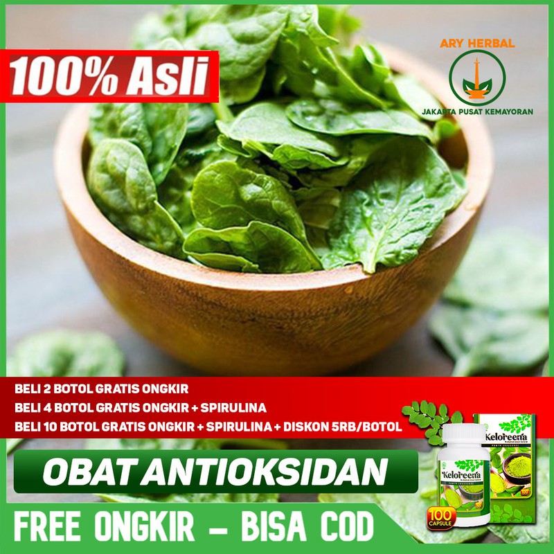 

Antioksidan alami Keloreena Kapsul Eksrak Daun Kelor Asli 100% Original Herbal Terlaris