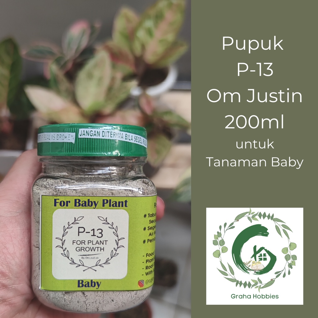 Pupuk P13 Om Justin untuk tanaman BABY / ANAKAN