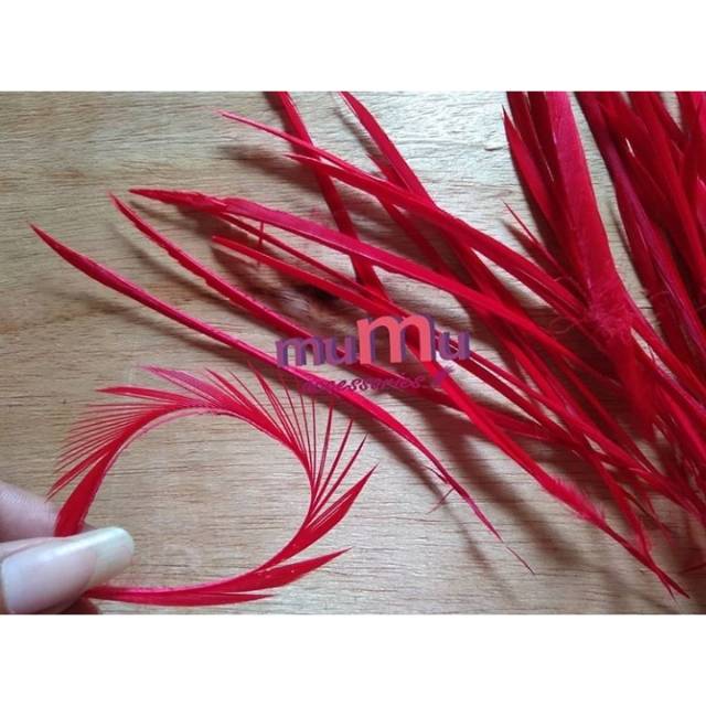 BULU LIDI ( 10 HELAI )