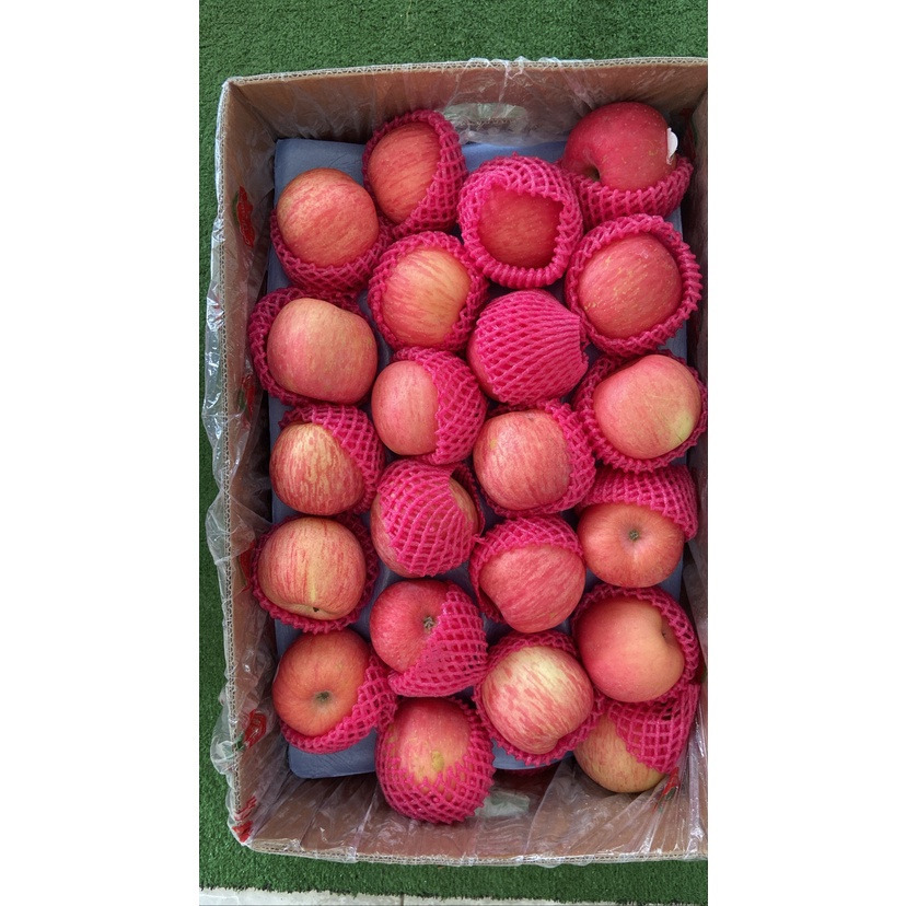 

Apel Fuji 88 1 Dus Grosir