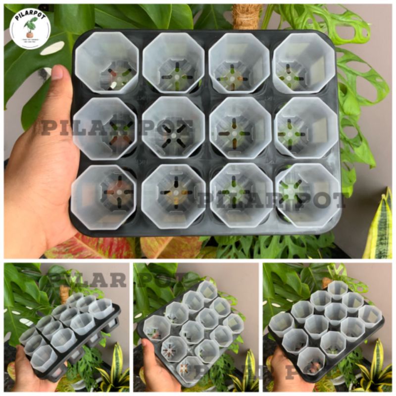 1 set tray + POT NKT PAGODA 5CM BENING TRANSPARAN | tray semai bibit