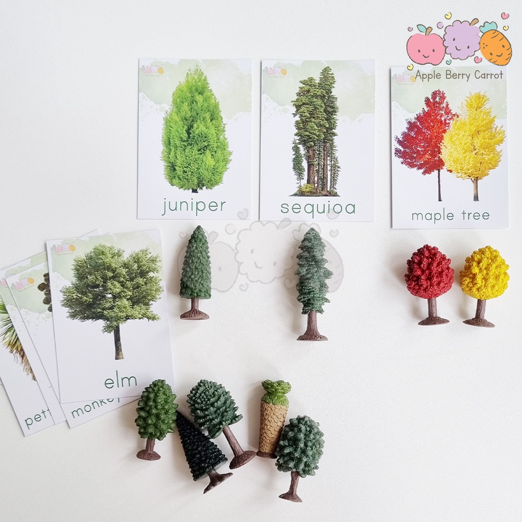 TREES SAFARI LTD - TOOB - CARDS