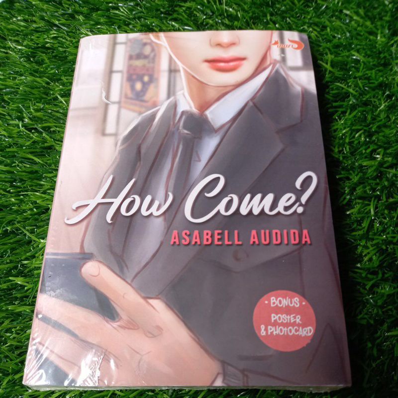 BUKU NOVEL HOW COME ASABEL AUDIDA