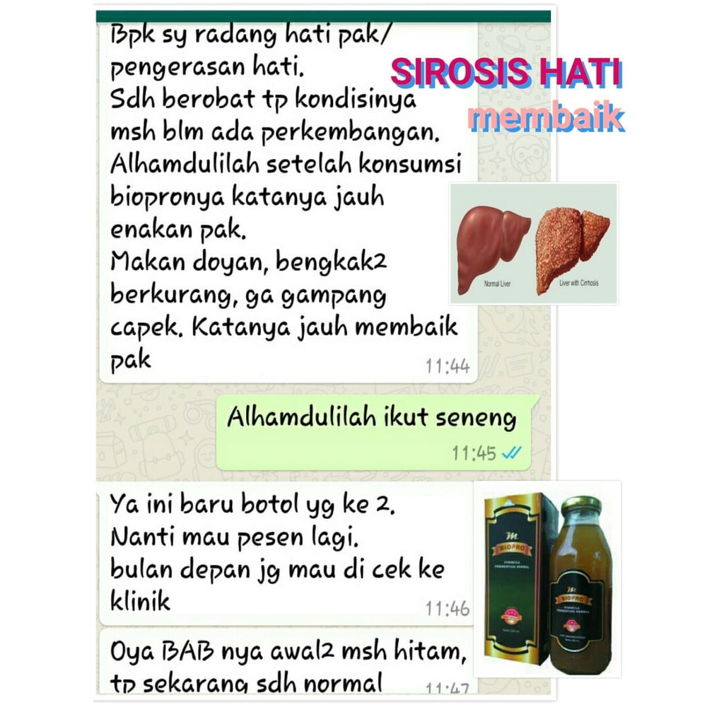Obat Untuk Hepatitis MBIOPRO | Obat Penyakit Hepatitis M BIO PRO | Obat Herbal Hepatitis M BIOPRO