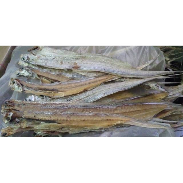

Ikan Layur tawar