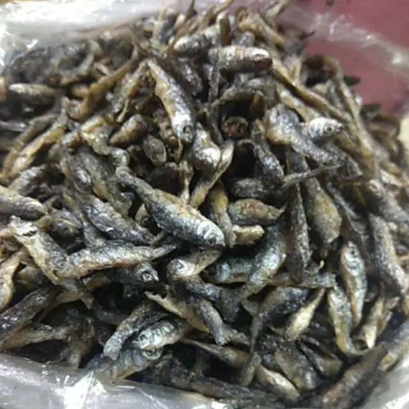 

Ikan Bilih Singkarak, ikan bilih super murah 250 gr