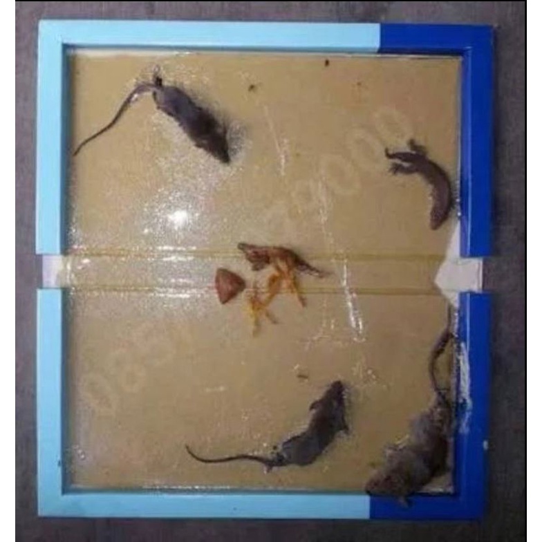 Lem Tikus ULTRA SUPER - Lem Tikus Papan - Lem Perangkap Tikus - Obat Tikus Jebakan