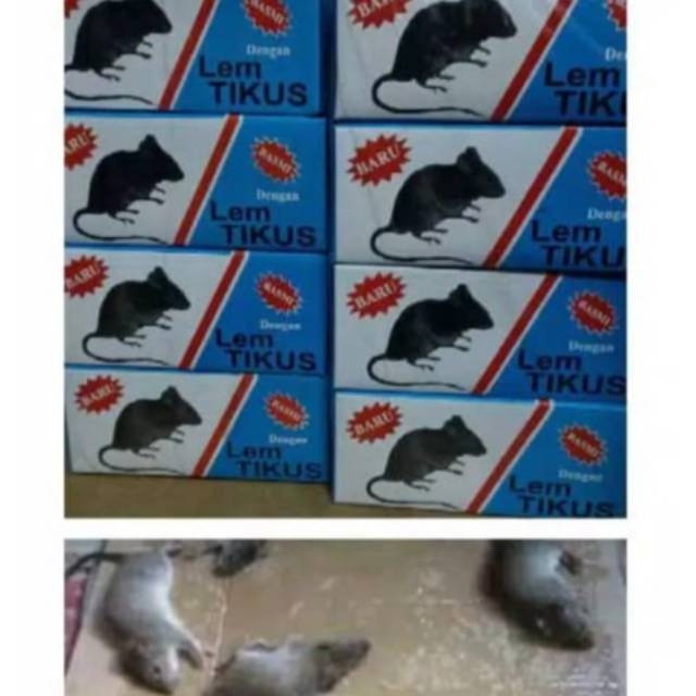 

LEM PERANGKAP TIKUS ISI 12 BUNGKUS
