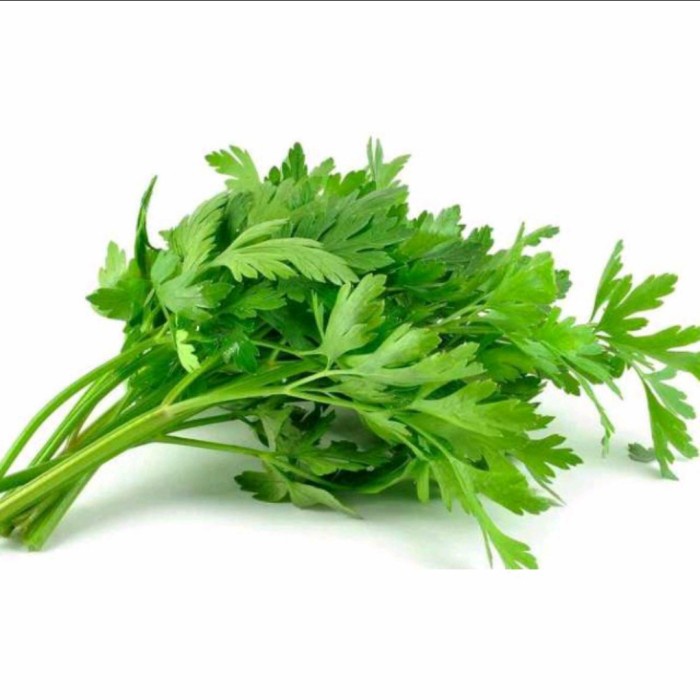 

DAUN SELEDRI - 250gr