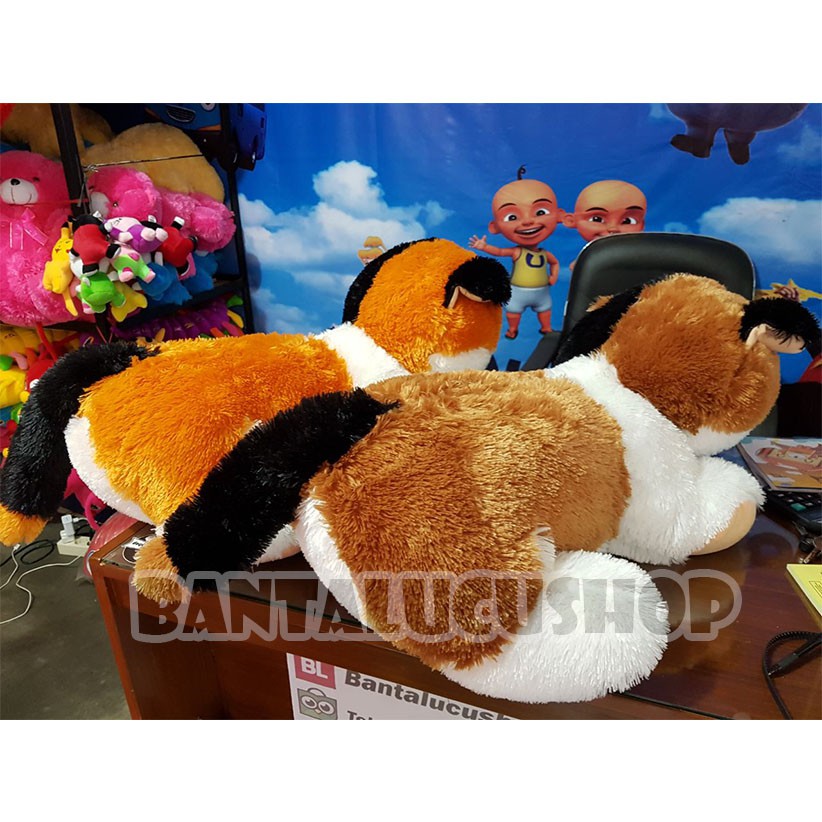 Boneka kucing jumbo