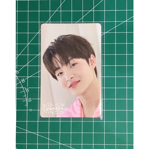 [BOOKED] MANYO LOVELY PINK PHOTOCARD JIHOON TREASURE