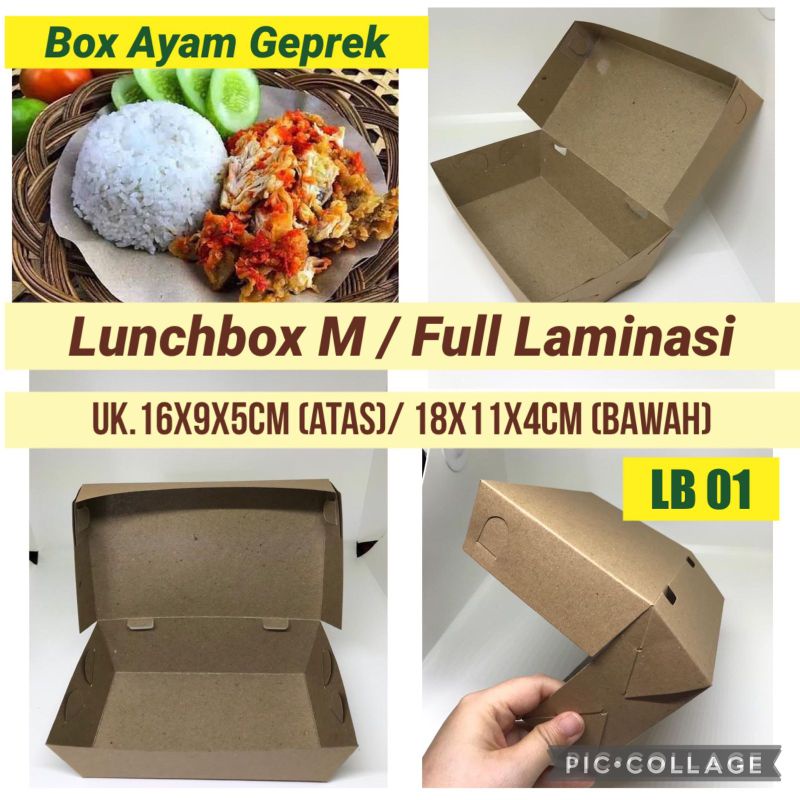 Lunchbox M Reguler (LB.01)