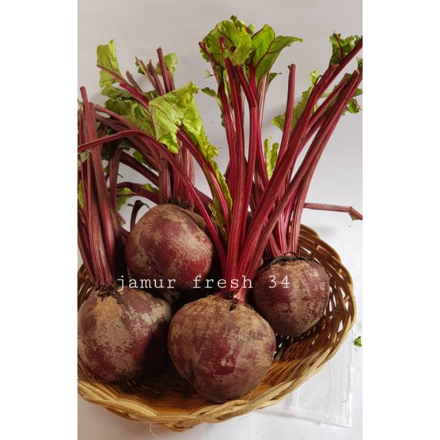 

RB Buah bit /kg