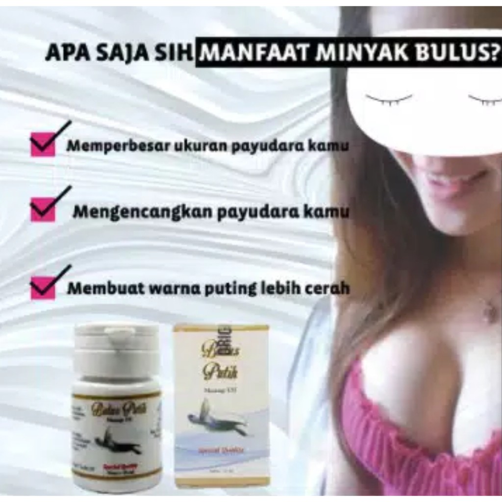 PEMBESAR DAN PENGENCANG PAYUDARA MINYAK BULUS PUTIH MASSAGE OIL ORIGINAL BPOM