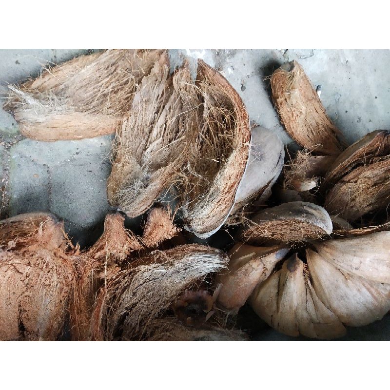 Tapas Kelapa
