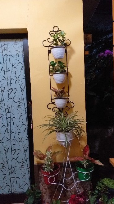  STANDING POT DINDING  3 BONUS POT  Shopee Indonesia