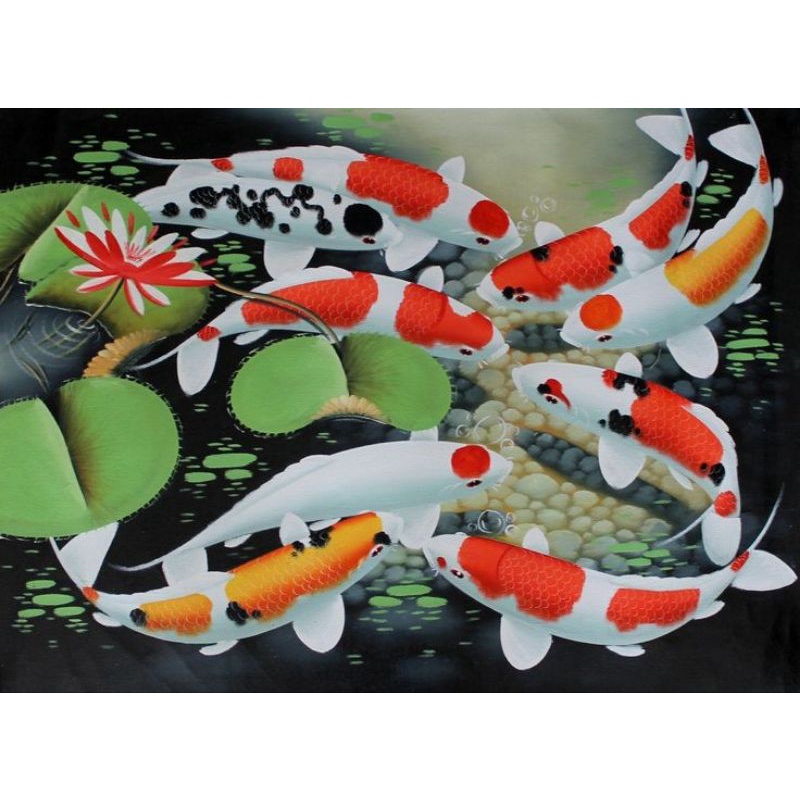 hiasan dinding lukisan cetak ikan koi plus bingkai ukuran 85x55