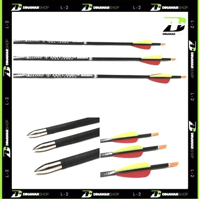 Arrow IAN Carbon Outdoor Elong Spine 700